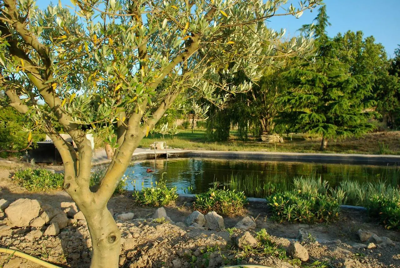 Bed & Breakfast Le Mas Du Caprier Charleval